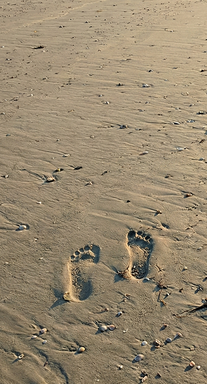 Overhead close-up of two bare footprints in wet beach sand, surrounded by small seashells and pebbles under soft warm sunlight.